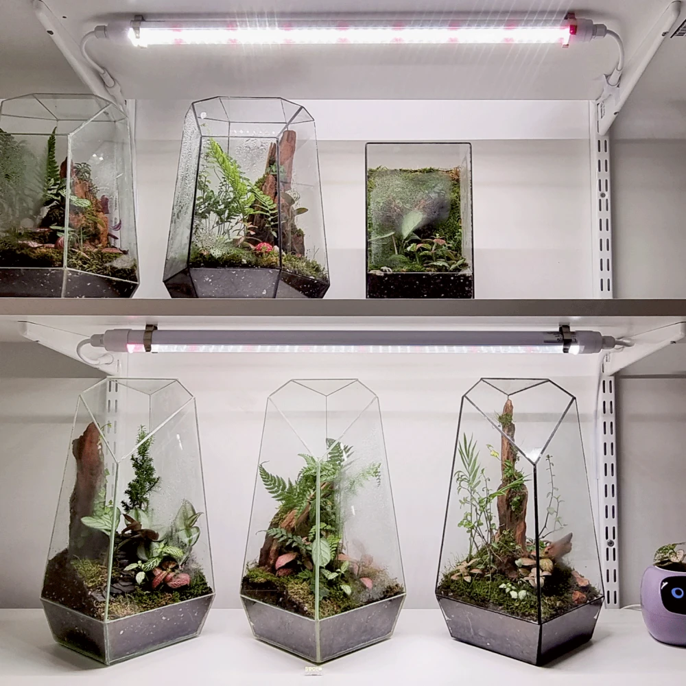 LEDlife Pro-Grow 2.0 vækstarmatur, Vækstlys hos HomeNordic
