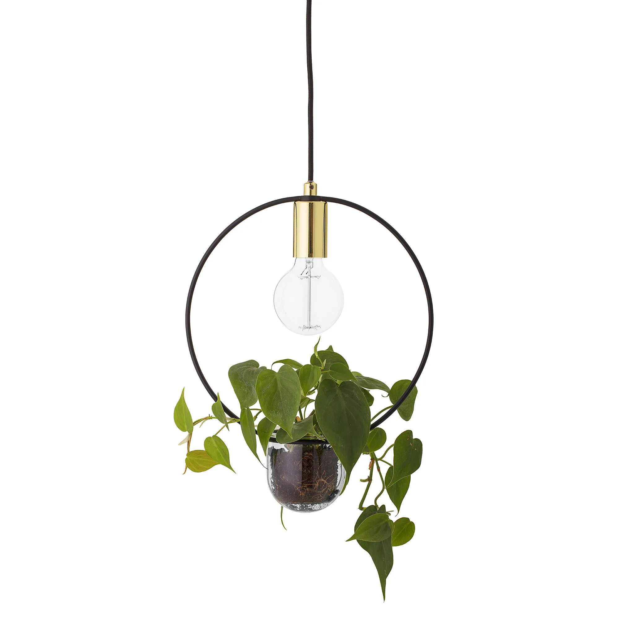 Plante Loftlampe, Loftlamper hos HomeNordic