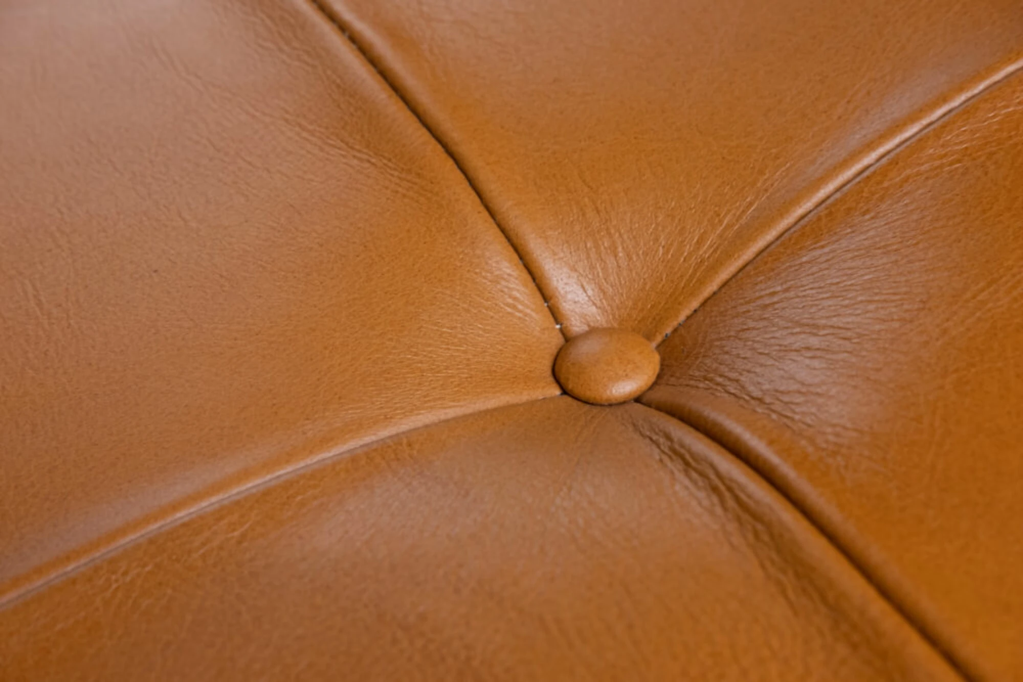 Milan Daybed i Cognac Bøffel læder, produktbillede 3 af 3 hos HomeNordic