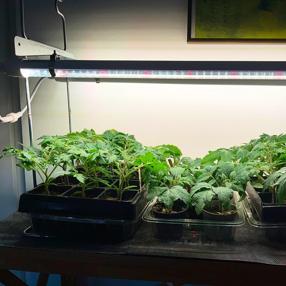 LEDlife Pro-Grow 2.0 vækst sæt, Vækstlys hos HomeNordic