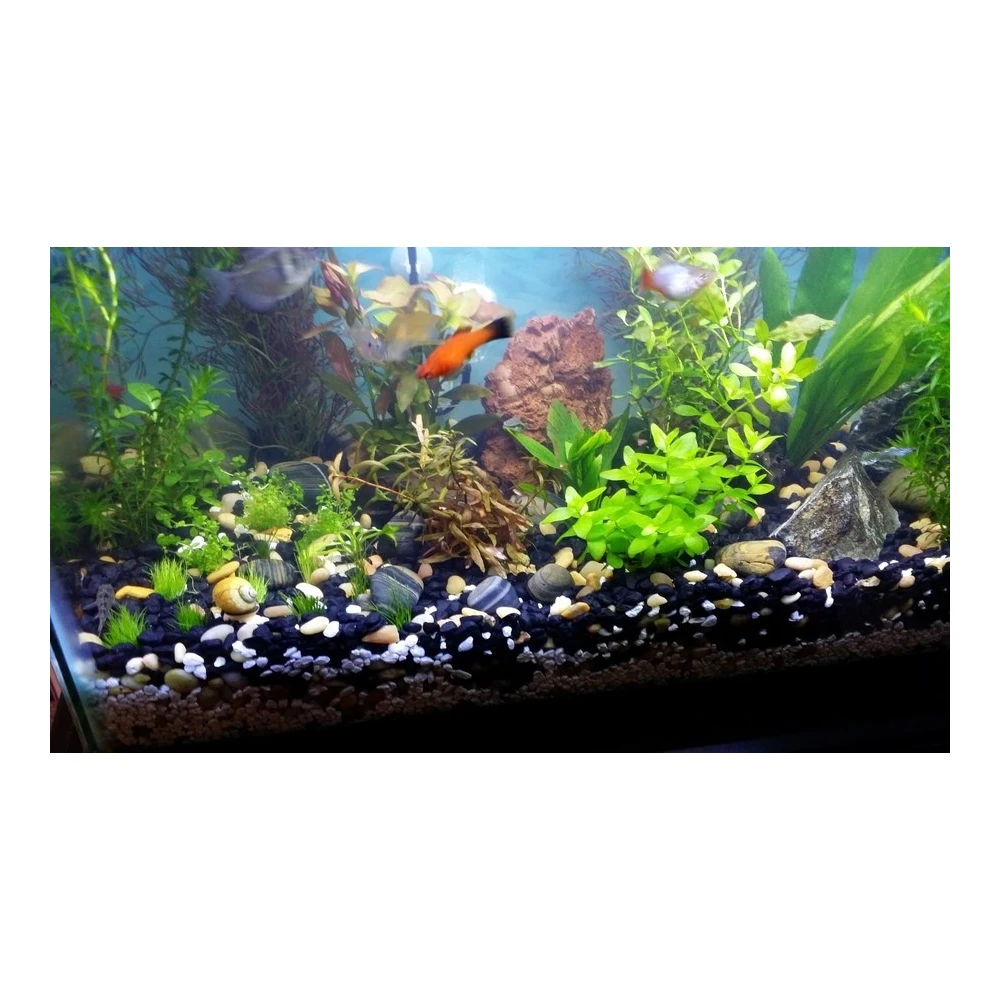 LEDlife akvarie T8-Pro120, Lysstofrør hos HomeNordic