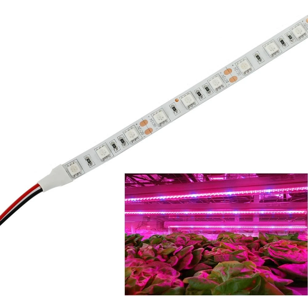 9,6W/m stænktæt vækst LED strip, LED-strips hos HomeNordic