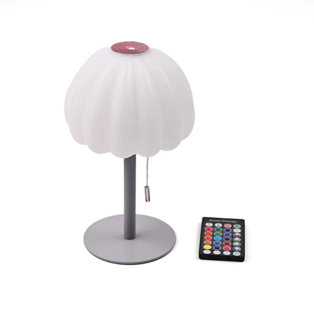 Opladelig RGB LED bordlampe, Bordlamper hos HomeNordic