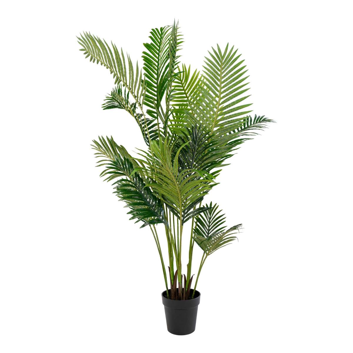 Areca Palme, Skabe hos HomeNordic