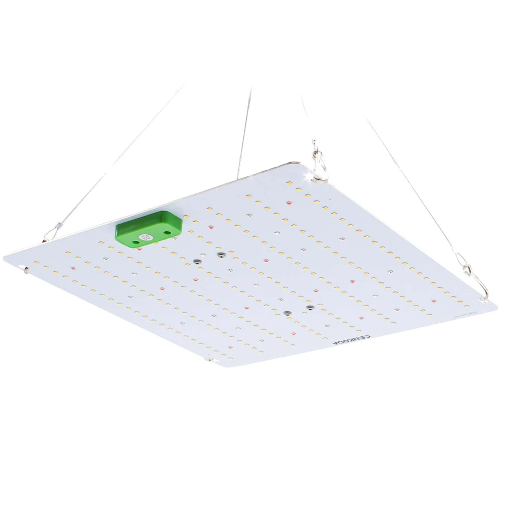 Quantum vækstlampe 65W, Andre varer hos HomeNordic