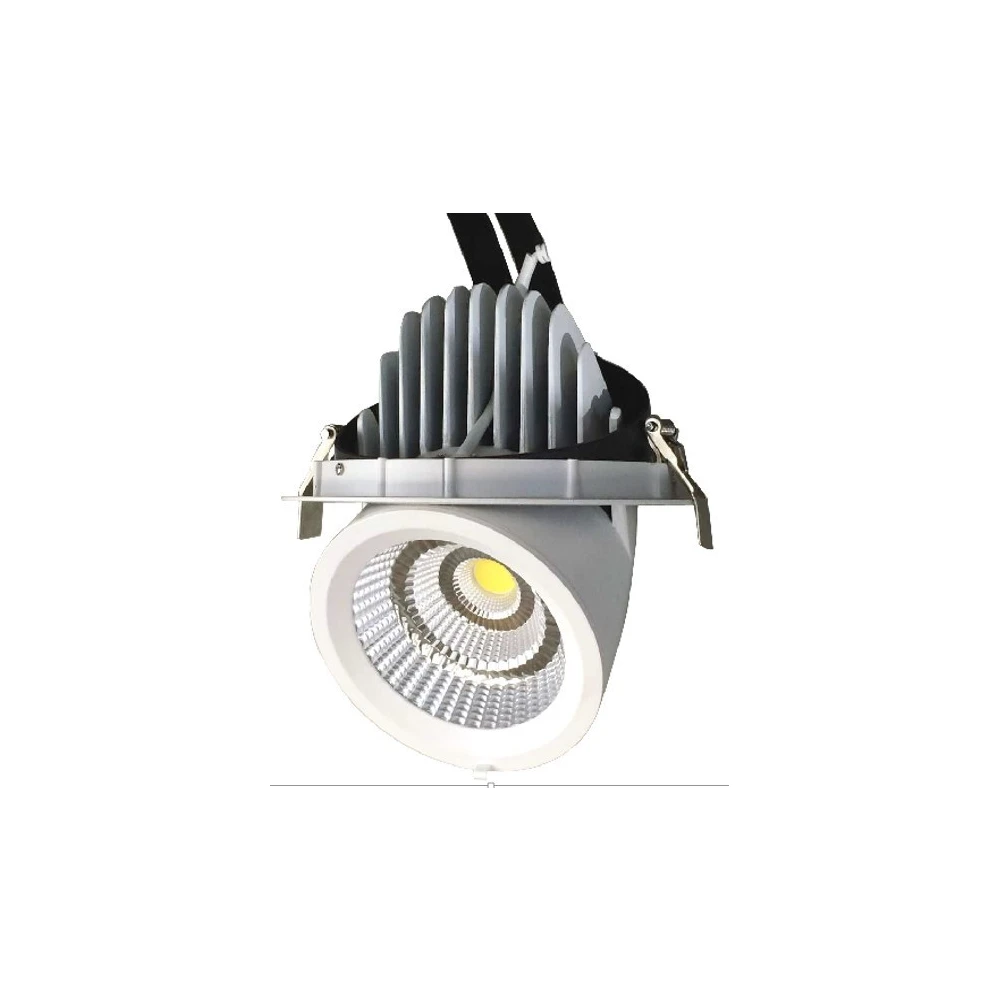 30W Kød Downlight, Spots hos HomeNordic