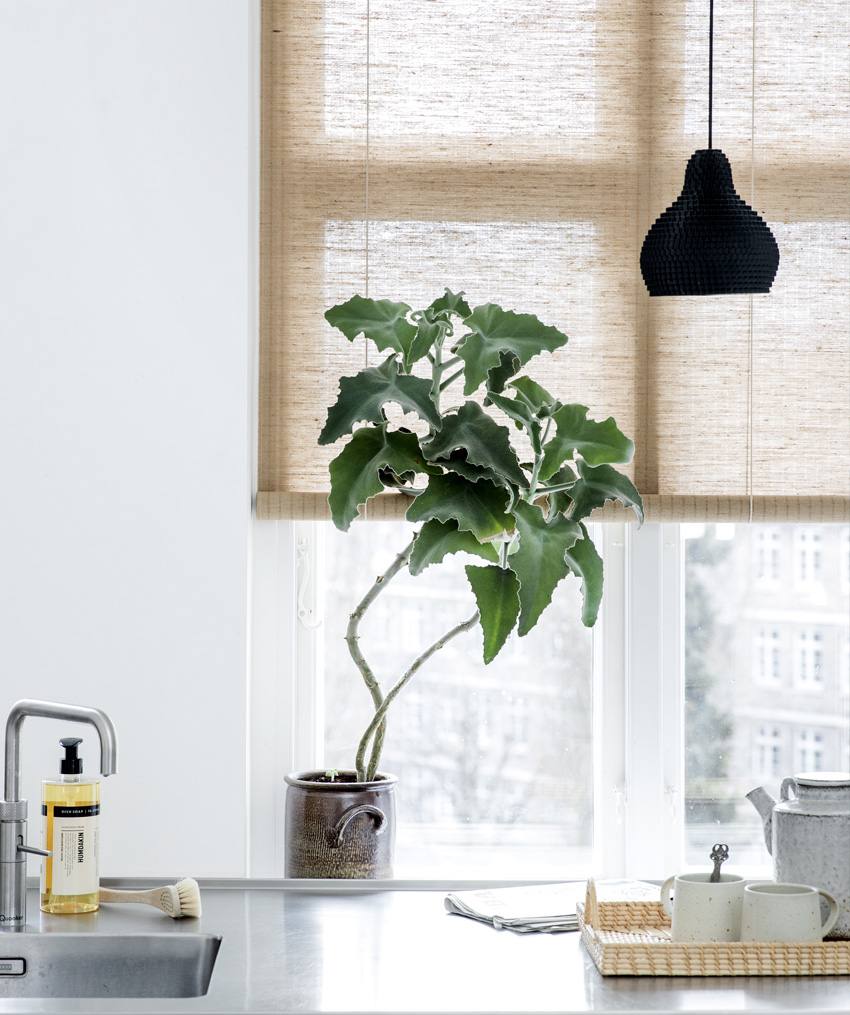 COLOR & CO PLANTE RULLEGARDIN, Rullegardiner hos HomeNordic