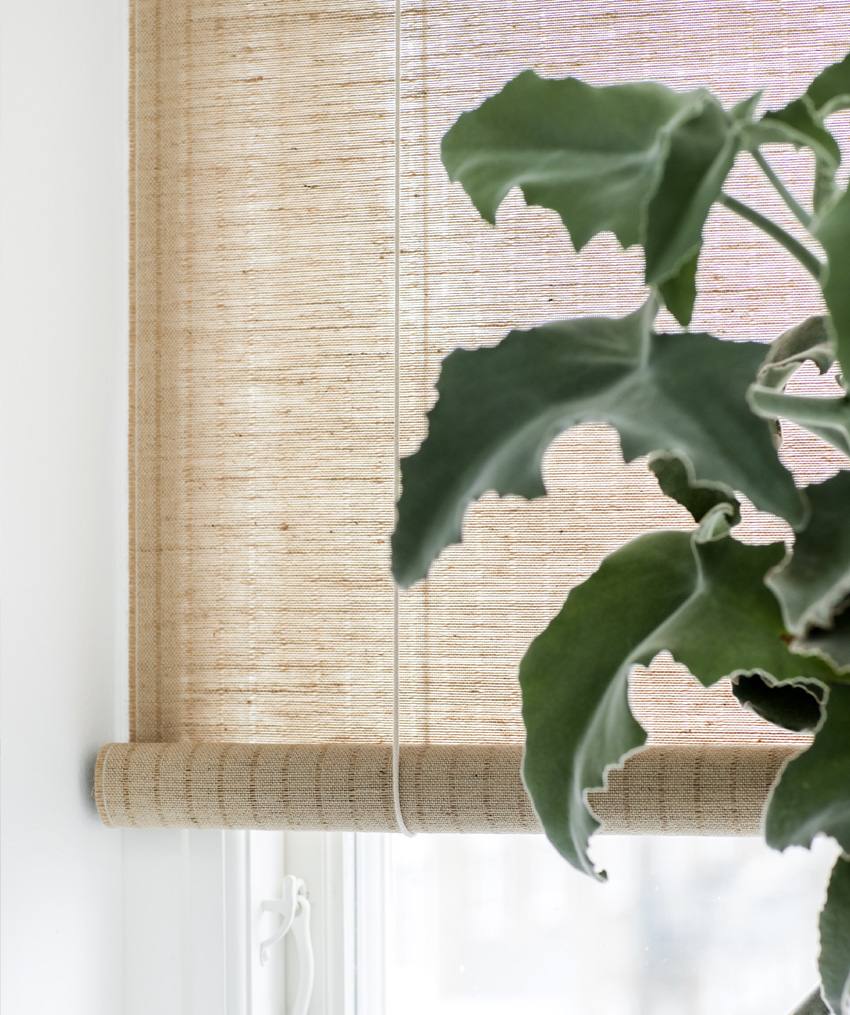 COLOR & CO PLANTE RULLEGARDIN, produktbillede 2 af 4, Rullegardiner hos HomeNordic