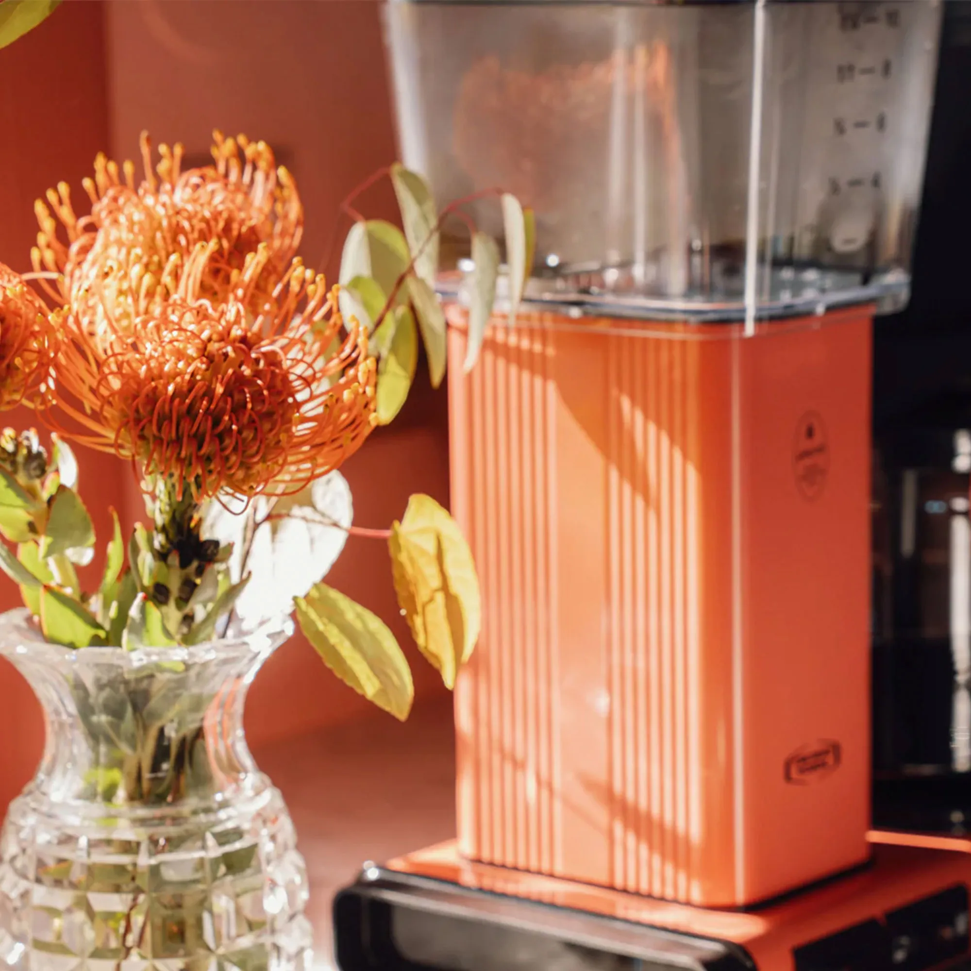 Optio kaffemaskine, sorbet, produktbillede 7 af 9, Kaffemaskiner hos HomeNordic