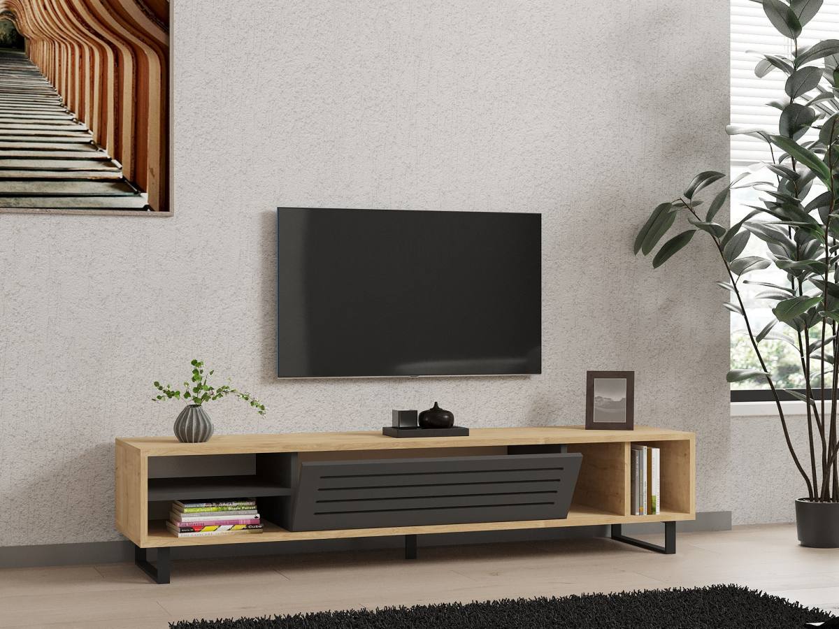 NORDVÄRK Safir TV-bord, m. 1 låge, 1 hylde, 2 rum, produktbillede 4 af 4, TV-borde hos HomeNordic