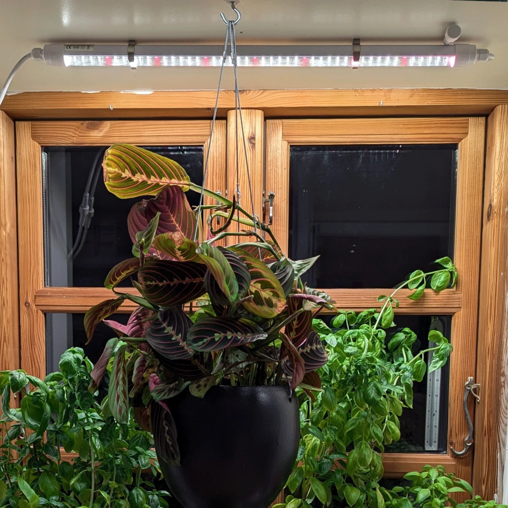 LEDlife Pro-Grow 2.0 vækstarmatur, Vækstlys hos HomeNordic