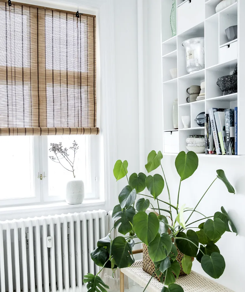 COLOR & CO BRUN/STRIBET BAMBUS, produktbillede 2 af 4, Bambus rullegardiner hos HomeNordic